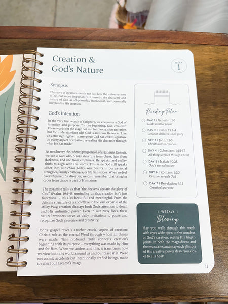 The Bible In A Year: A 52-Week Journey Through God's Word