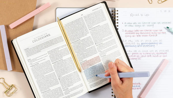 Pastel Highlighter Set