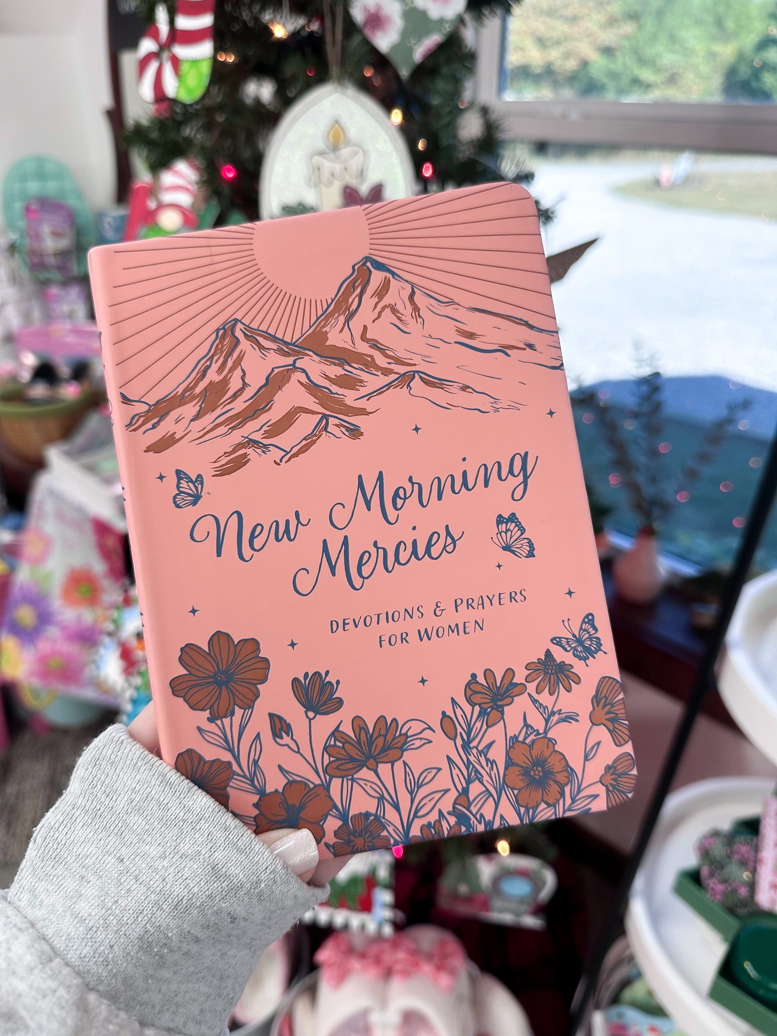 New Morning Mercies : Devotions and Prayers for Women