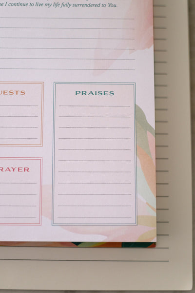 A Year of God's Goodness: A Prayer and Praise Tracker for Women