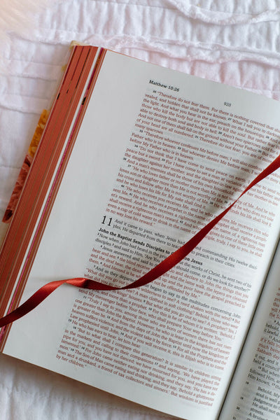 My Bible for Girls - Floral Giraffe (SKJV)