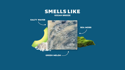 Dr. Squatch Bar Soap - Coastal Mist