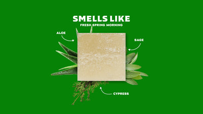 Dr. Squatch Bar Soap - Cool Fresh Aloe